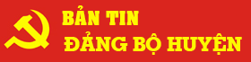 Bản Tin